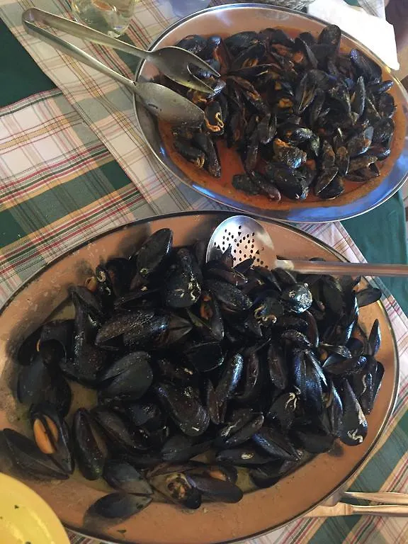 فندق ساساريفي  Agriturismo Sa Pedra