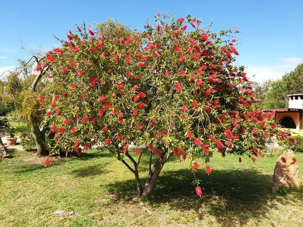 Agriturismo Sa Pedra Hotel Sassari